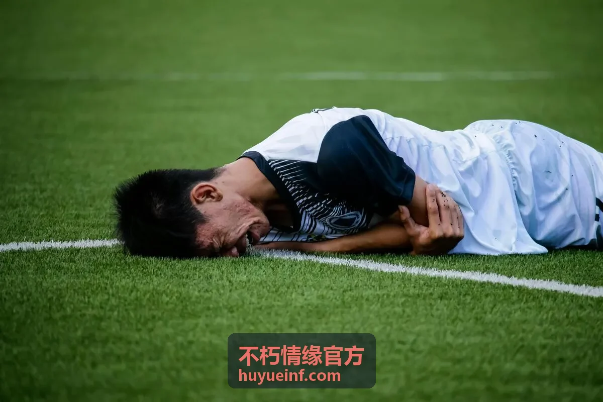 不朽情缘官方资料准备与交付归档说明