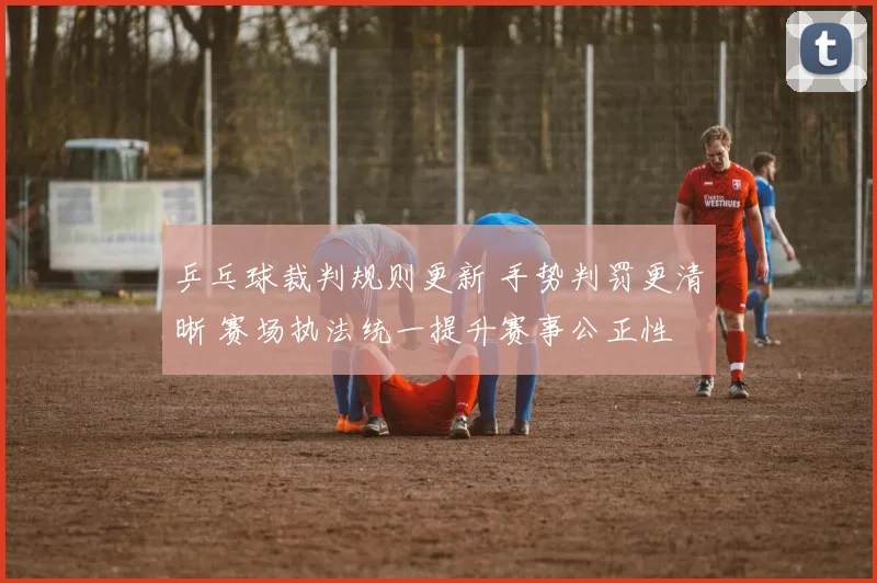 乒乓球裁判规则更新 手势判罚更清晰 赛场执法统一提升赛事公正性