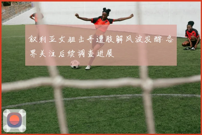 叙利亚女狙击手遭肢解风波发酵 各界关注后续调查进展