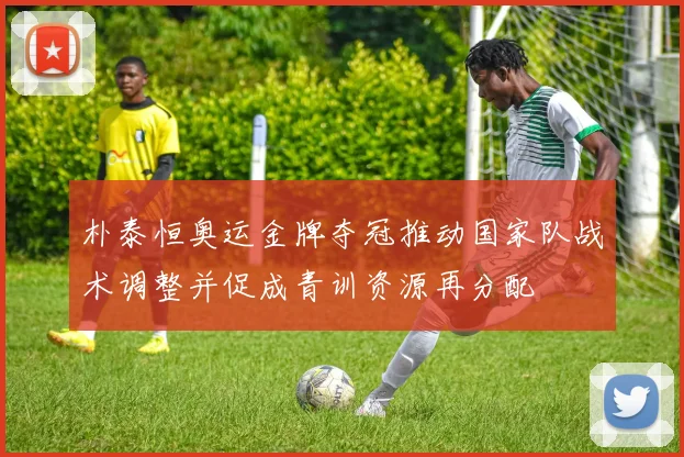 朴泰恒奥运金牌夺冠推动国家队战术调整并促成青训资源再分配