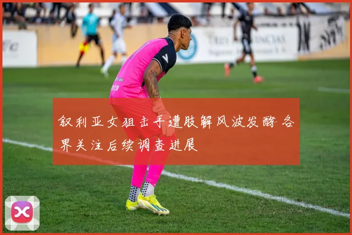 叙利亚女狙击手遭肢解风波发酵 各界关注后续调查进展