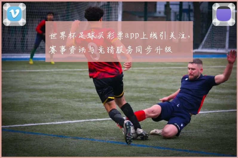 世界杯足球买彩票app上线引关注，赛事资讯与竞猜服务同步升级