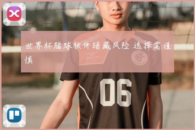 世界杯赌球软件暗藏风险 选择需谨慎
