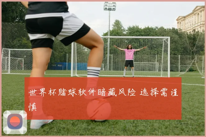 世界杯赌球软件暗藏风险 选择需谨慎