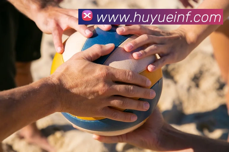 kaiyun官方网站入口平台生态图